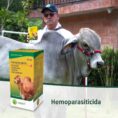 1780933888WhatsApp Image 2026-06-08 at 10.43.11 AM